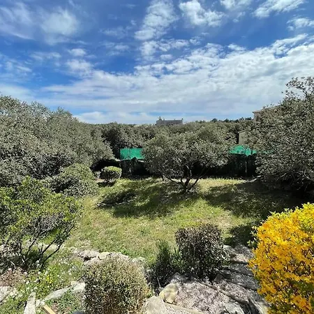 La Garrigue Nimoise - Piscine Et Climatisation Вилла Ним